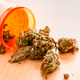 Illustration for article titled No evidence yet that legal cannabis is replacing America’s other favorite vicesem/em